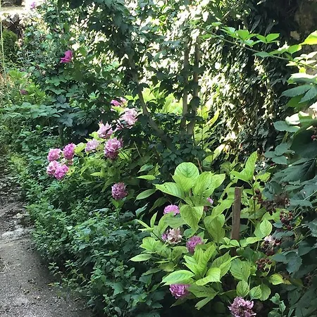 Сasa de vacaciones Hibiscus House Sarajevo